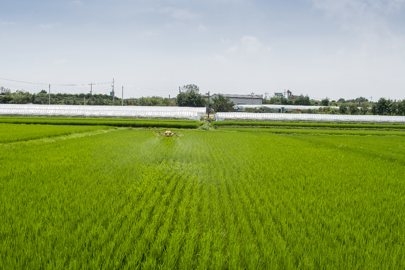 イメージ田園風景