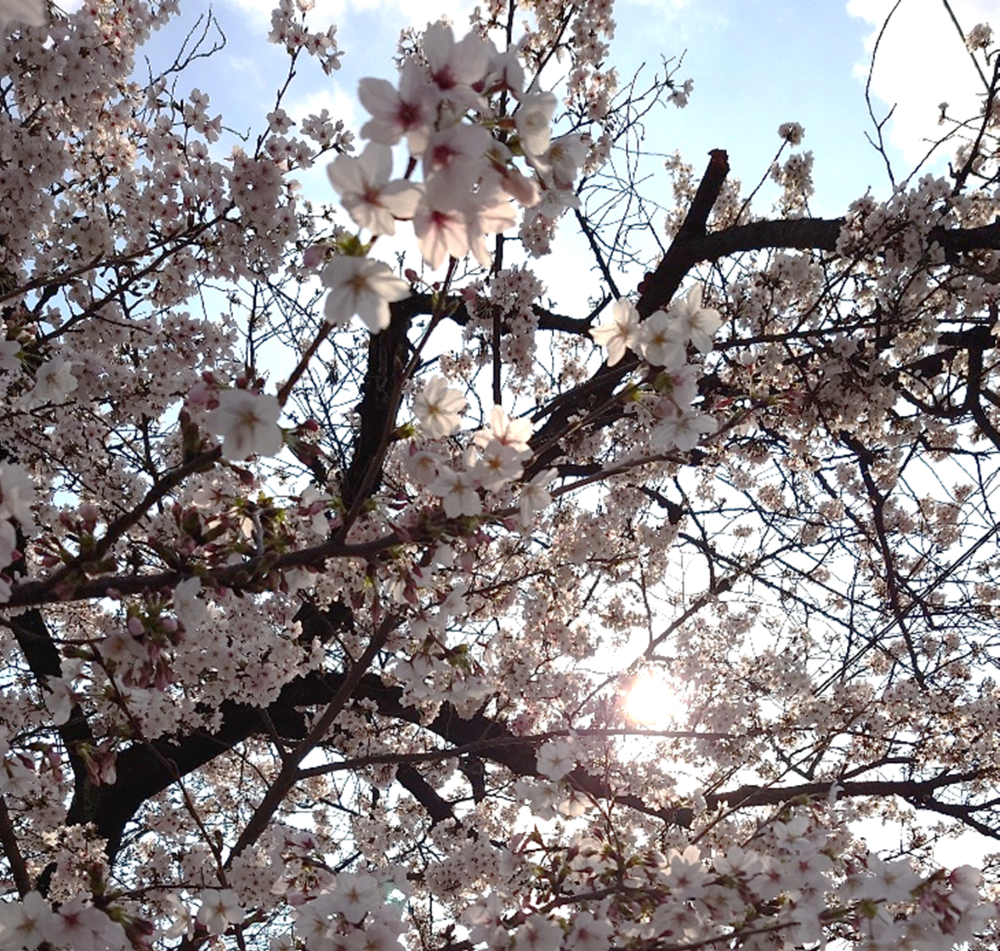 脅威インテリジェンス